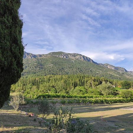 Country House Uros In Nature With Pool Lovorno 外观 照片