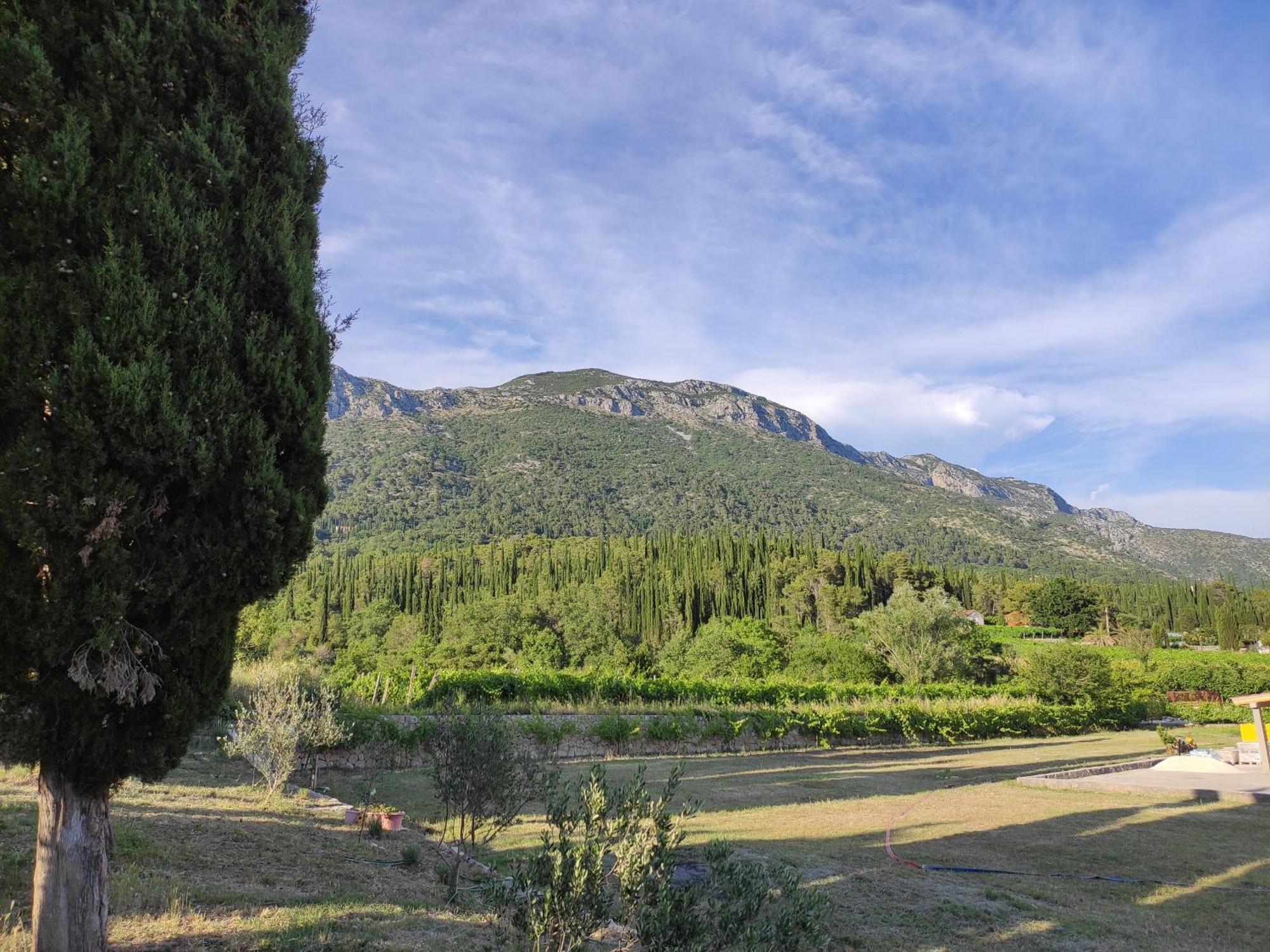 Country House Uros In Nature With Pool Lovorno 外观 照片