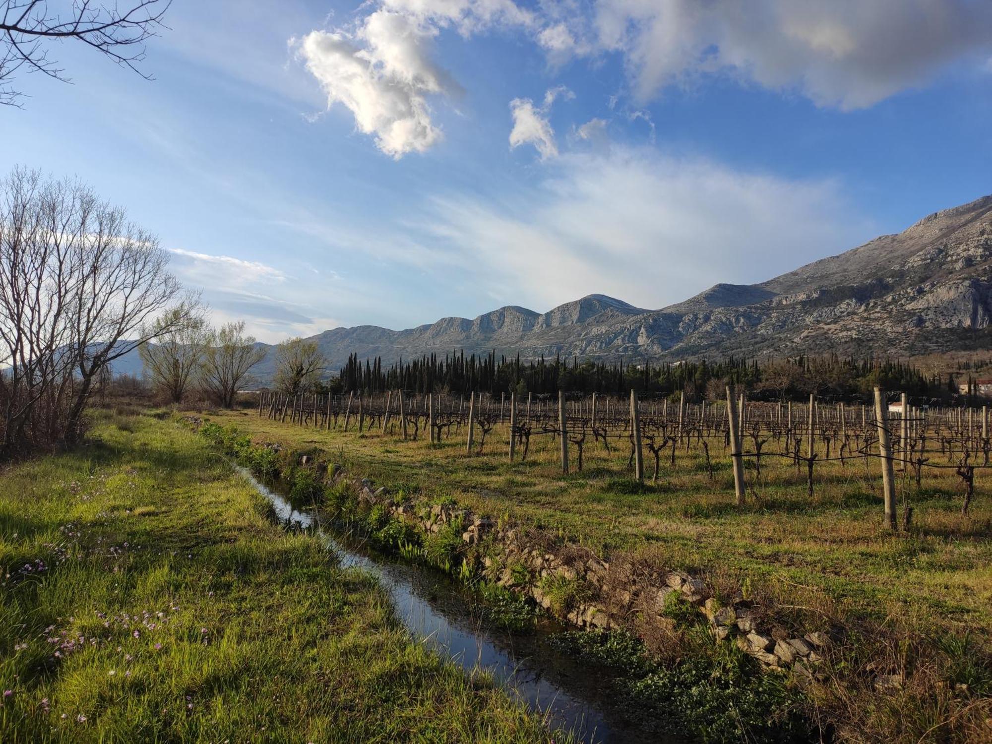 Country House Uros In Nature With Pool Lovorno 外观 照片