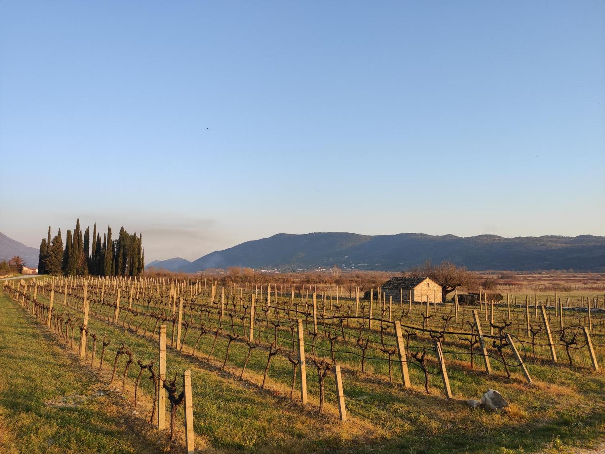 Country House Uros In Nature With Pool Lovorno 外观 照片